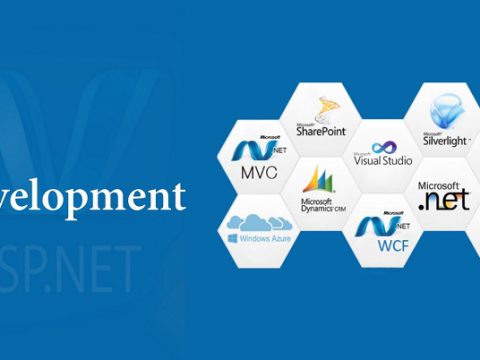 ASP.Net Development